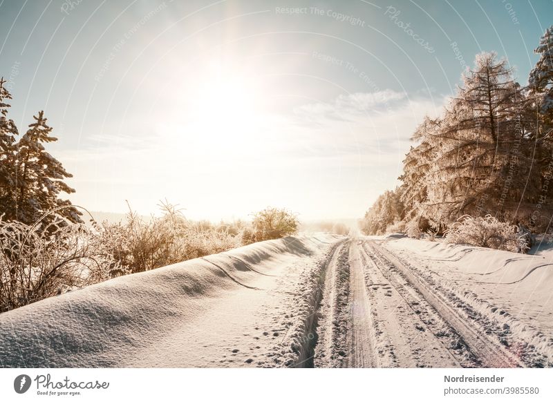 A winter dream, snowy country road in the sunshine Street Snow iced Virgin snow Winter Winter maintenance program onset of winter road conditions Snowfall