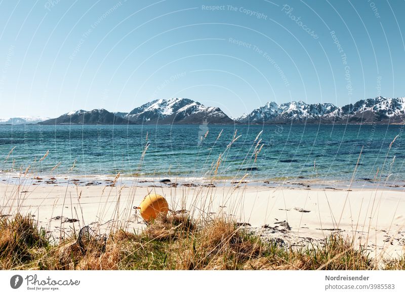 Lonely beach on the Vesterålen in Norway Beach Ocean Atlantic Ocean Vesteralen Andøya Island Rock Buoy Fjord mountain Mountain range Peak Snow Water Waves