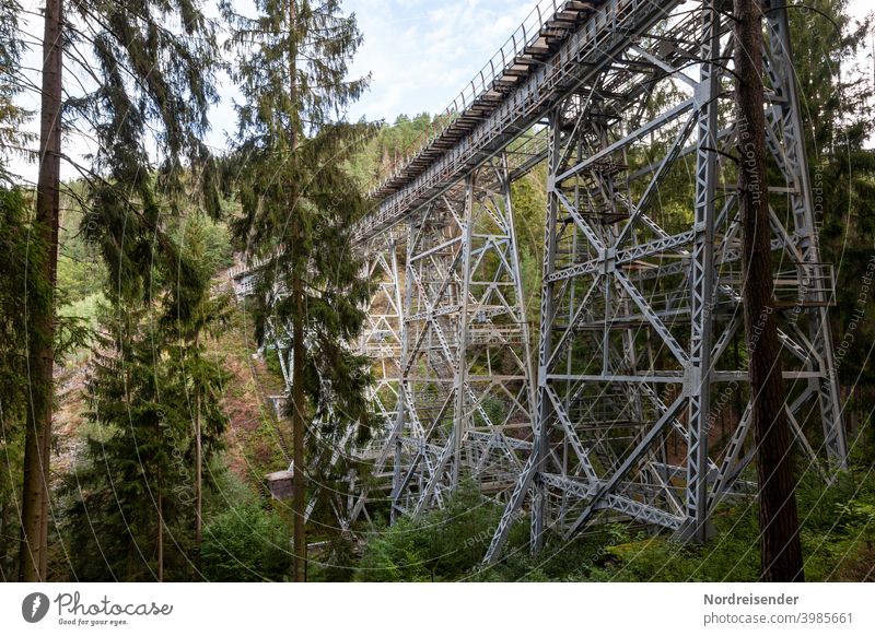 The Ziemestal bridge in Thuringia, old steel viaduct zieme valley bridge Bridge Railway bridge rails Railroad Valley Forest Manmade structures railway line