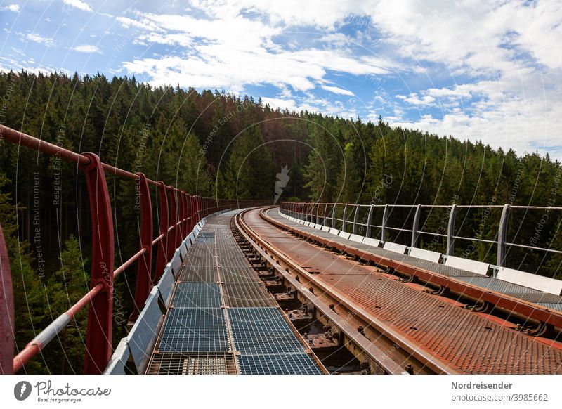 The Ziemestal bridge in Thuringia, old steel viaduct zieme valley bridge Bridge Railway bridge rails Railroad Valley Forest Manmade structures railway line