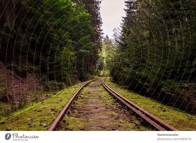 Disused railway line in the Thuringian Forest rails track Railroad Track decommissioned Decommissioning Transport Infrastructure single-track Ancillary road