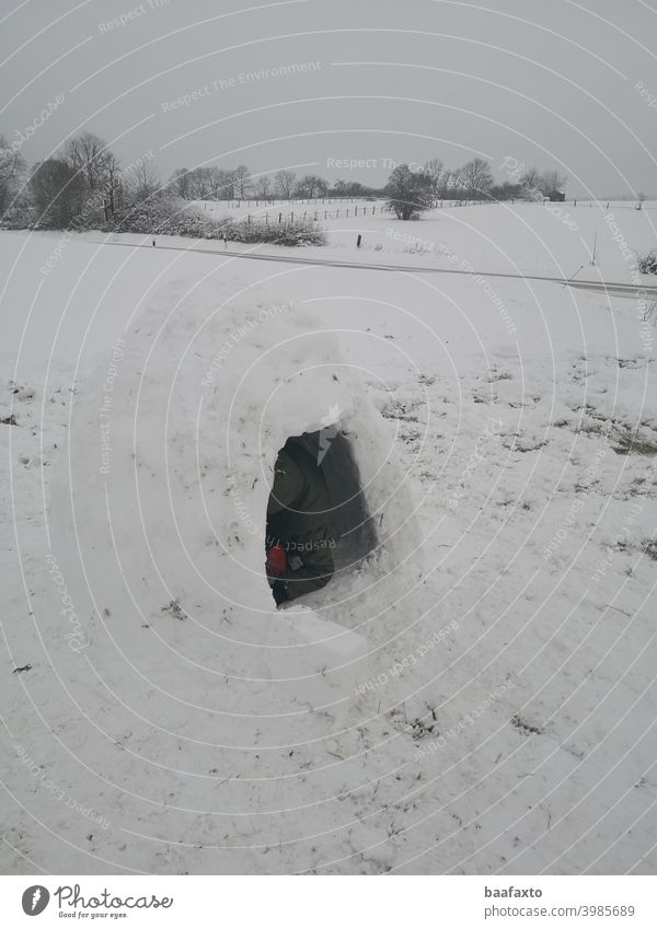 Snow igloo with person Igloo Winter Frost White Self-made Landscape Cold Nature