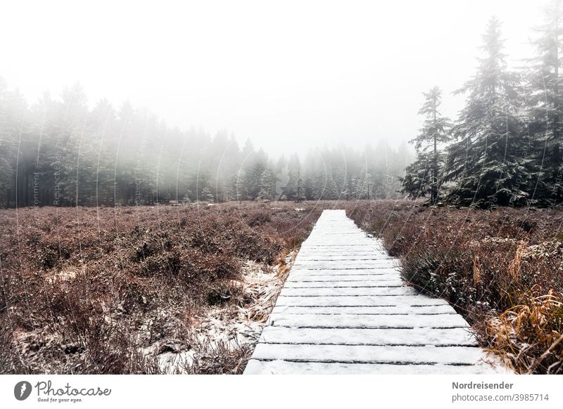 Schützenbergmoor in the Thuringian Forest with first snow and fog Schutzbergmoor Bog Marsh Fog path Footbridge hiking trail forest Snow Winter reserve