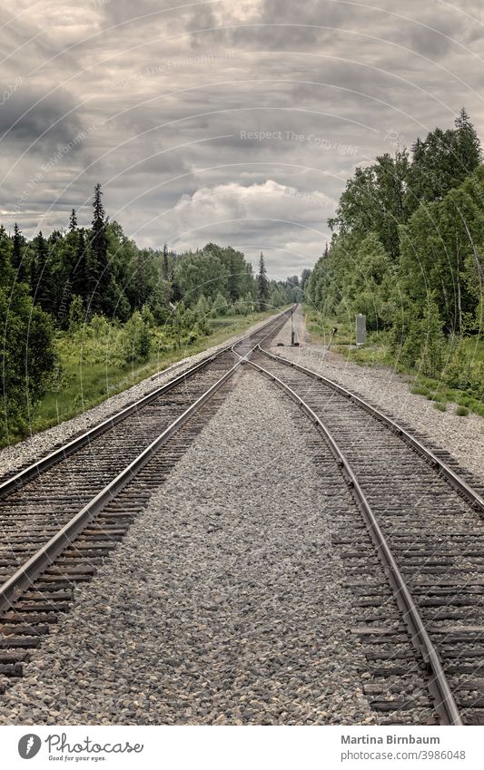 Two railtracks become one in the alaskan wilderness. Concept of merging together depression sad merge switch stand position of points rail track railroad