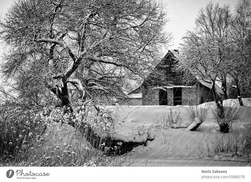 crooked willow tree over the ice / abandoned house shot from river / heavy snow Architecture Europe background beautiful building country forest heaven historic