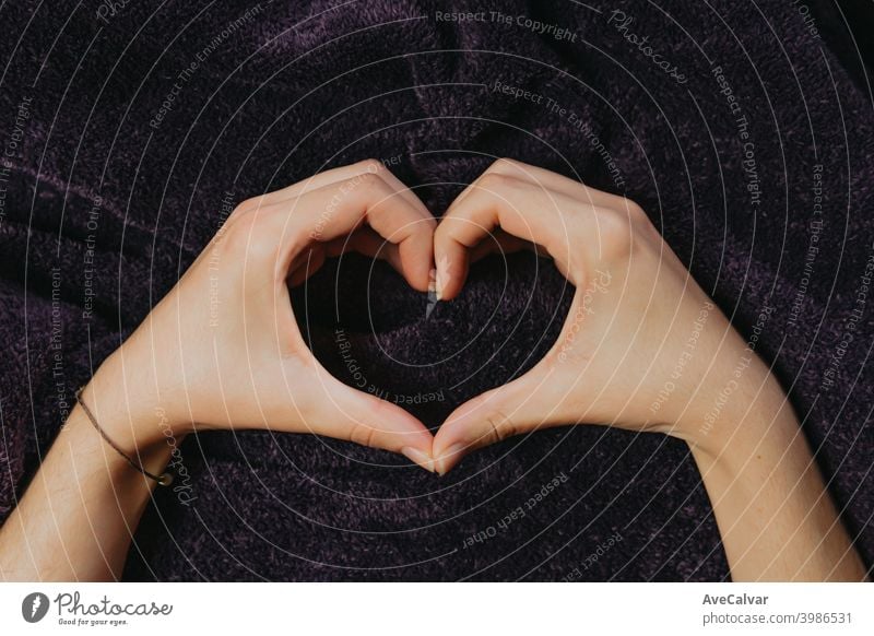 A pair of hands making a heart over a purple blanket person human ideas creativity life love romance valentine shape young inspiration feelings form happiness