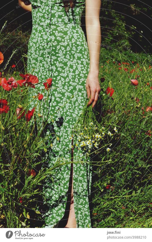 Lower neckline of young woman with long summer dress holding flowers in a poppy field Fresh naturally Retro Girl Slim Young woman Feminine pretty long dress