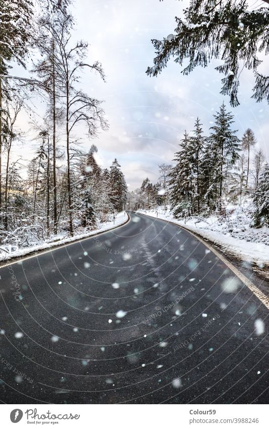 Winter Streets ice road frost season wood sky snow forest winter cold nature outdoor landscape white day frozen street snowy country way scene weather trees