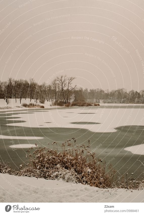 Lake in winter Winter winter landscape Snow Landscape Nature tranquillity Gloomy Gray warm Village Town White minimalism Climate Climate change Frozen pond