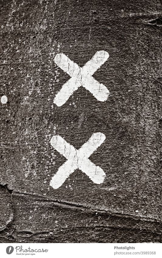 Two white crosses on a tree trunk symbolic Deserted Being alone Environment Exterior shot Traffic infrastructure nature conservation Nature Tree Day