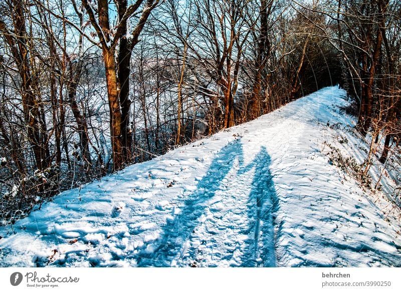 happy parsley:)) Love at the same time Together in common Couple Hold hands Shadow Sunlight Contrast Light Exterior shot Colour photo Footpath pretty Fantastic