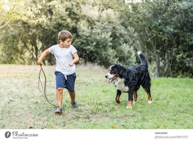 Little boy playing with a Mountain Dog outdoors active autumn black brown caring for animals caucasian child childhood cute dog fall field free freedom friend