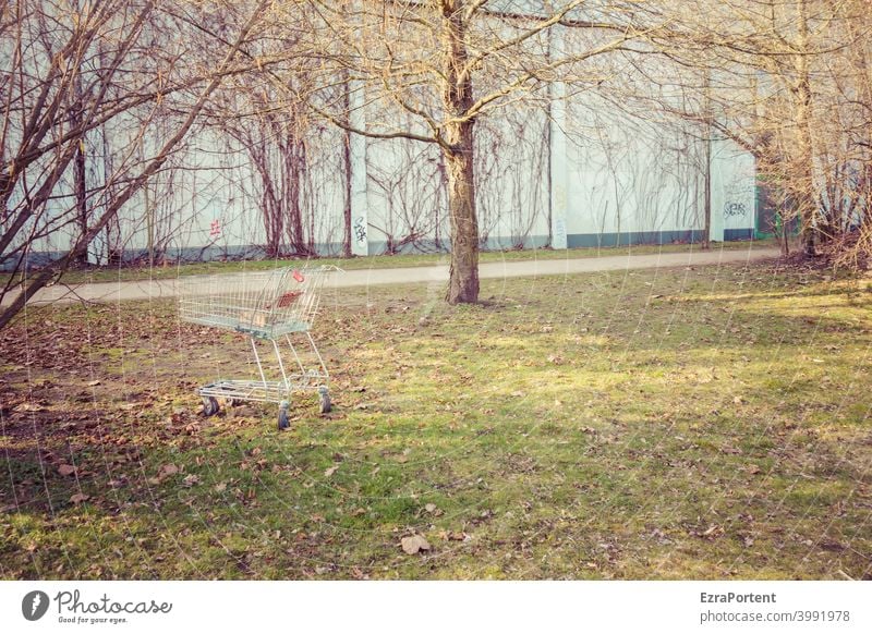 shopping Shopping Trolley shopping trolleys Loneliness Shopping malls shopping centre Hypermarket Shopping basket Tree Lawn Meadow Retail sector Supermarket