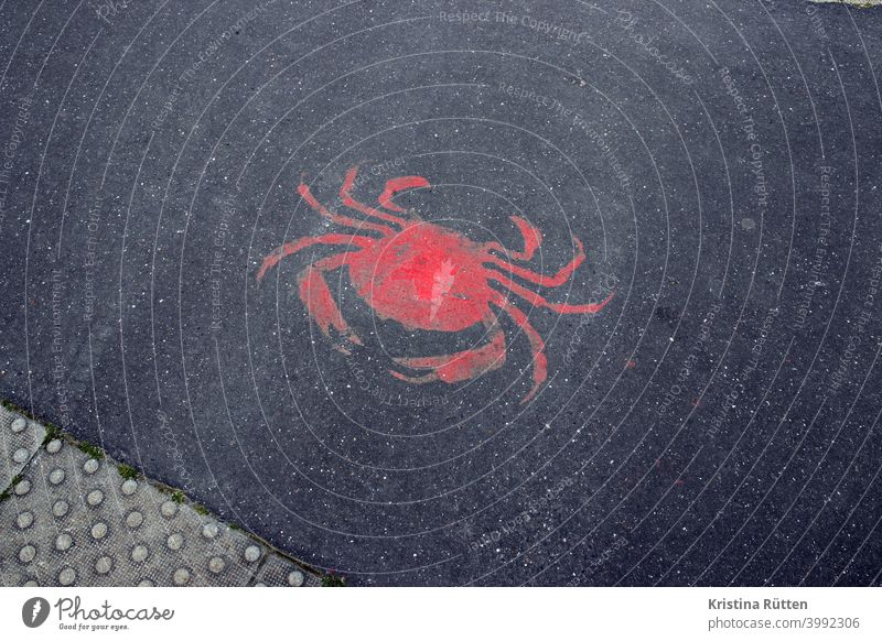 red crab on asphalt Shrimp Cancer Edible crab Asphalt Street Ground painted on sprayed on Fish market Harbour Fish restaurant Natural history museum street art