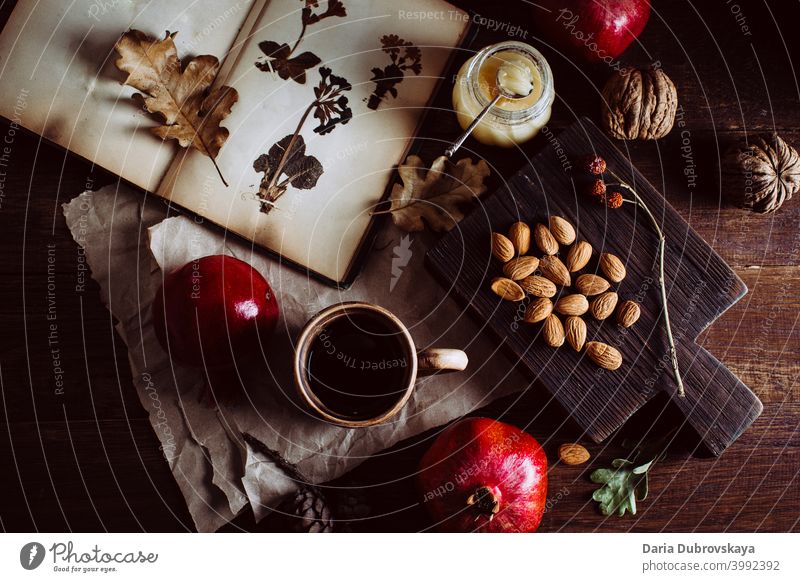 Book with herbarium nuts and fruits on the table food vintage background dry season composition cozy blanket fall holiday decoration fresh orange vegetarian