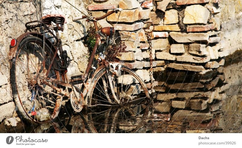 Bike on the way into the water Wall (barrier) Obscure Bicycle Harbour Water Rust Go under