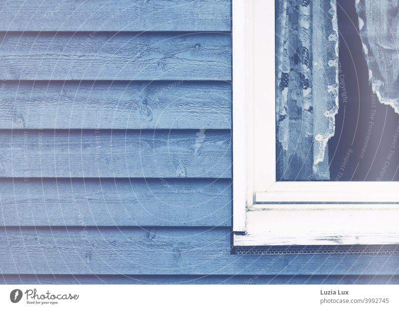 A white wooden window in a blue wooden wall, the light in the room makes even the delicate curtain look blue Blue Wooden wall Wooden window Old Delicate pretty