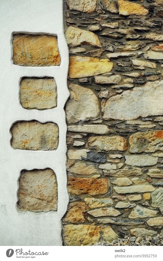 Courage to fill a gap Wall (barrier) Facade Wall (building) Old House (Residential Structure) Building Detail stones Exterior shot Colour photo Deserted