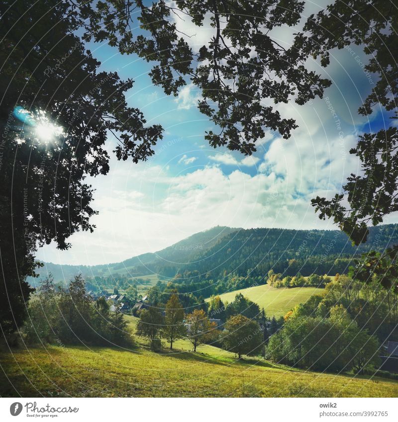 Lausche, Zittau Mountains Exterior shot Far-off places Contemplative Bushes Tree Grass Environment Beautiful weather Horizon House (Residential Structure)