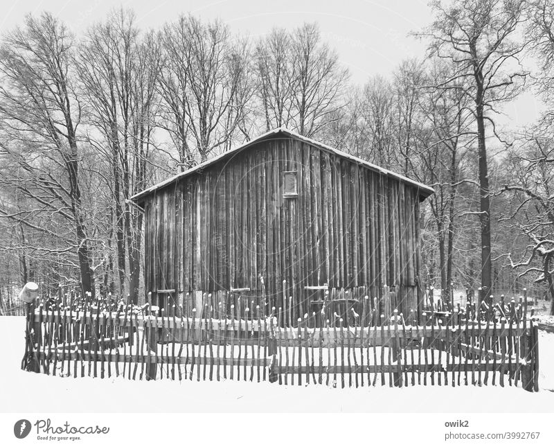 Location Building House (Residential Structure) Barn Snow Frost Ice Beautiful weather Winter Landscape Environment Idyll Humble Calm Patient Freeze Wait