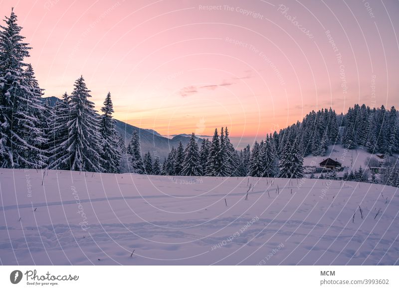 View over snowy mountain landscape in the Romanian Carpathians in winter winter landscape Snow Snowscape evening mood evening light Hut Nature Hiking Forest