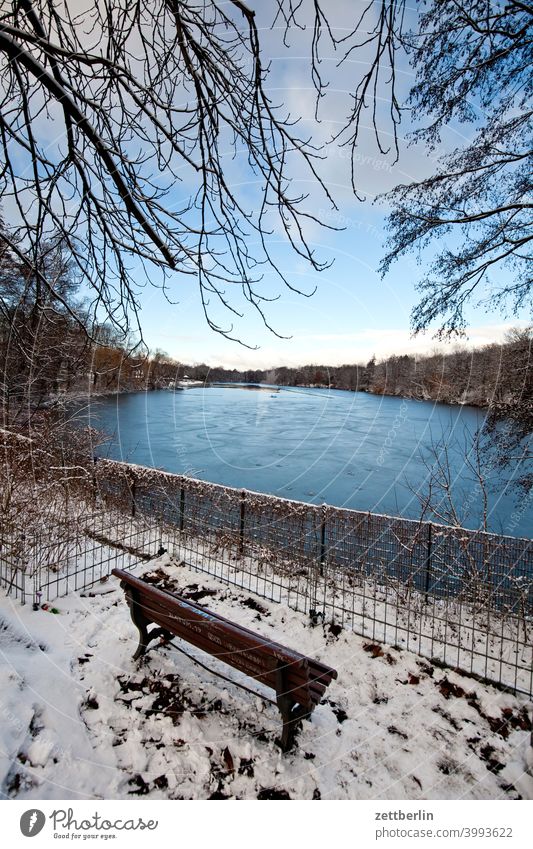 Bank at Plötzensee in winter Branch Tree Relaxation holidays Sky Deserted Nature Plant tranquillity Snow Snow layer shrub Copy Space Depth of field Winter Twig