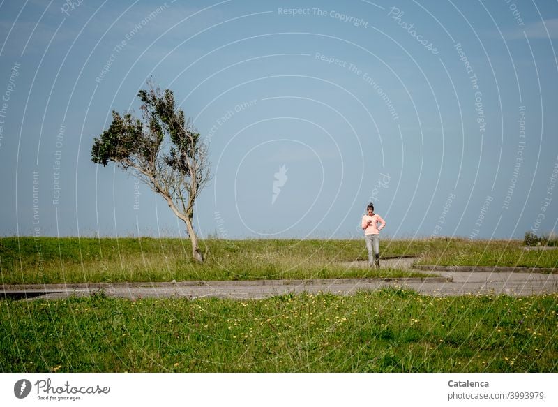 Busy the young woman looks at her mobile phone Nature Landscape Young woman stroll Going Tree Plant Meadow Sky Beautiful weather Summer Day daylight Green Blue