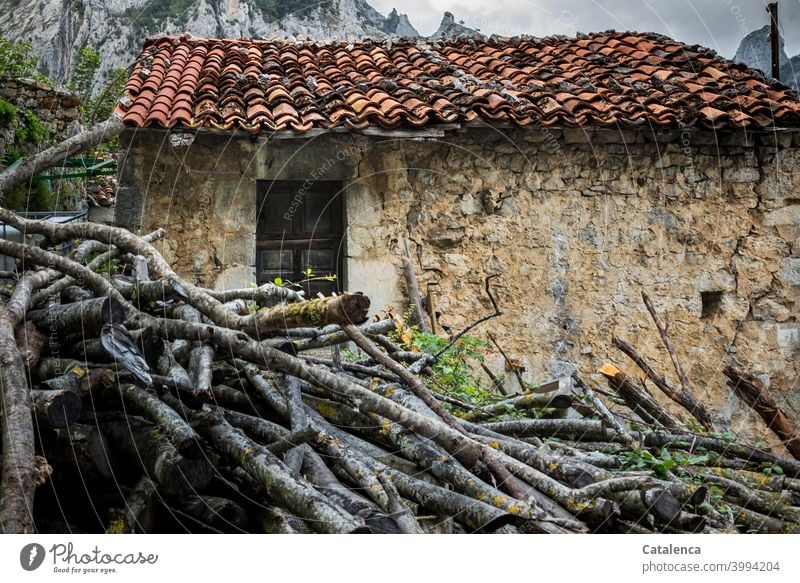 Conformity | Wood in front of the hut Architecture Manmade structures House (Residential Structure) stone house Hut door Roof Roofing tile roof tiles Stone