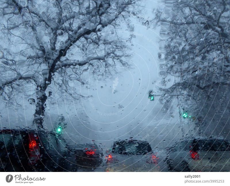 onset of winter... Winter Transport car Road traffic Snow Wet Traffic light Green Weather Bad weather visual impairment Street Motoring Traffic infrastructure