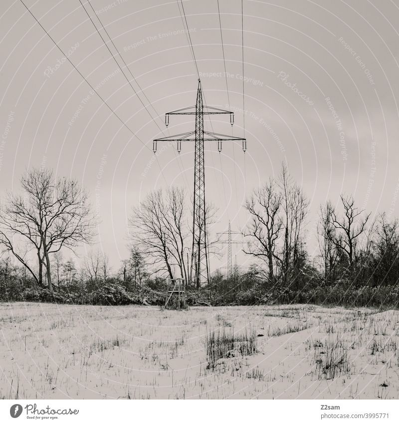 Electricity pylons in winter landscape Winter walk Landscape Nature trees chill Frost Lonely tranquillity relaxation Moody Winter mood Winter's day Forest