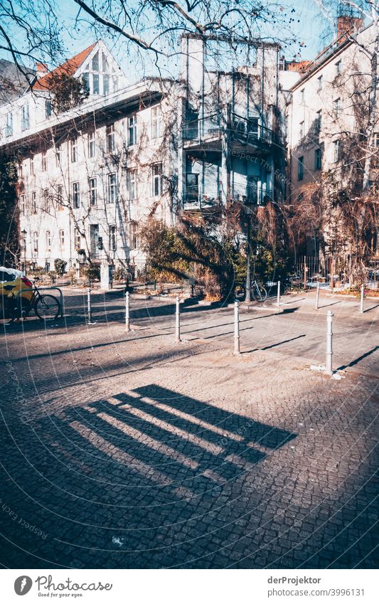 Bank and tree shade in winter in Kreuzberg Wall (barrier) Wall (building) Hip & trendy Light Day Copy Space middle Exterior shot Experimental Copy Space top