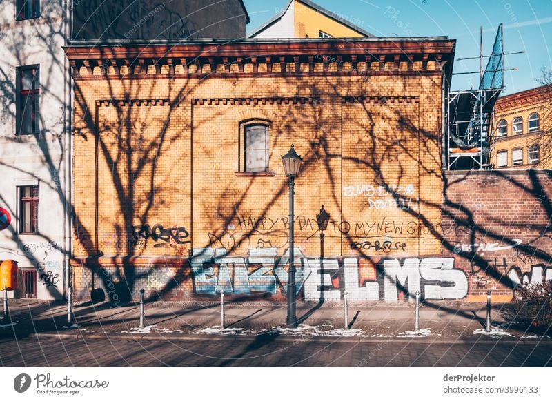 Tree shade in winter in Kreuzberg Wall (barrier) Wall (building) Hip & trendy Light Day Copy Space middle Exterior shot Experimental Copy Space top Berlin