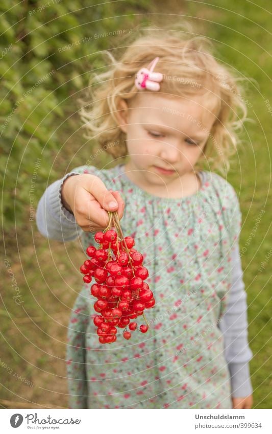 freshly picked Fruit Nutrition Picnic Organic produce Lifestyle Summer Living or residing Garden Thanksgiving Child Girl Infancy 1 Human being 3 - 8 years