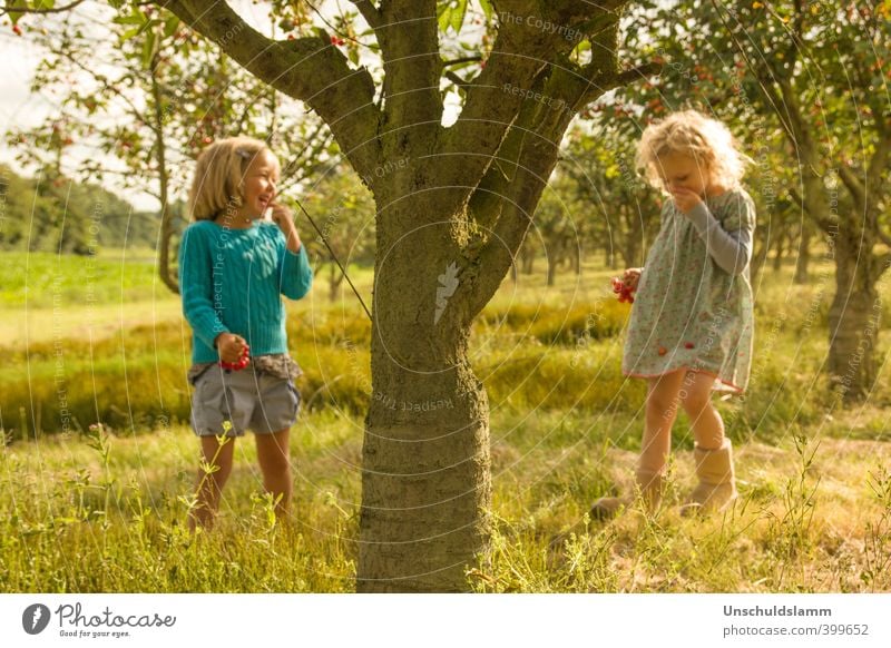 ...under the cherry tree* Fruit Cherry Lifestyle Leisure and hobbies Playing Summer Sun Garden Girl Friendship Infancy 2 Human being 3 - 8 years Child