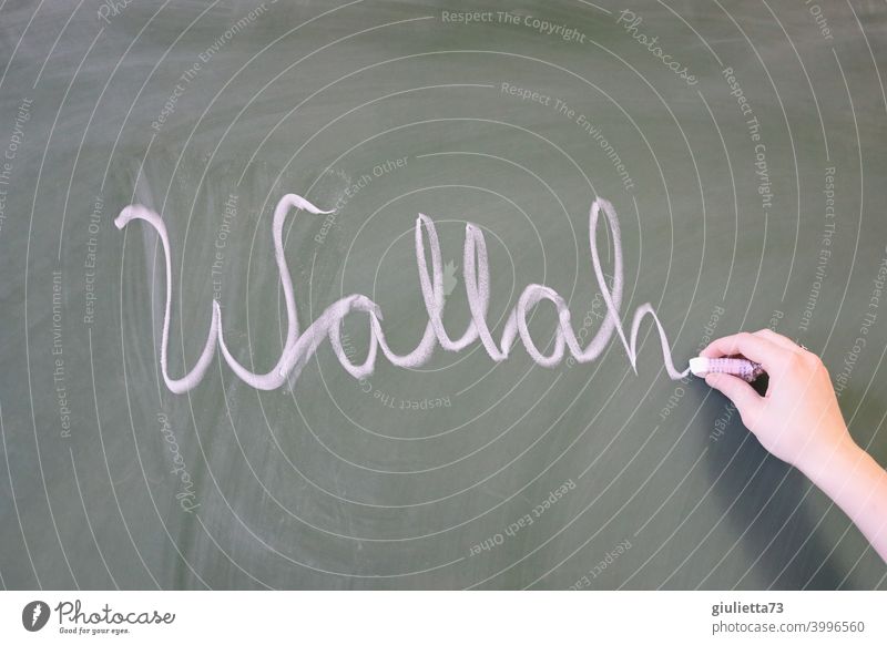 Wallah - youth word written on the blackboard with chalk Central perspective Day Colour photo Blackboard Chalk youth language Cool (slang) Colloquial speech