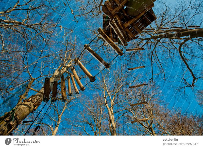 High Ropes Course Branch Tree Relaxation holidays Worm's-eye view Sky virgin heathland Climbing Garden climbing Deserted Nature Plant tranquillity Sports trunk