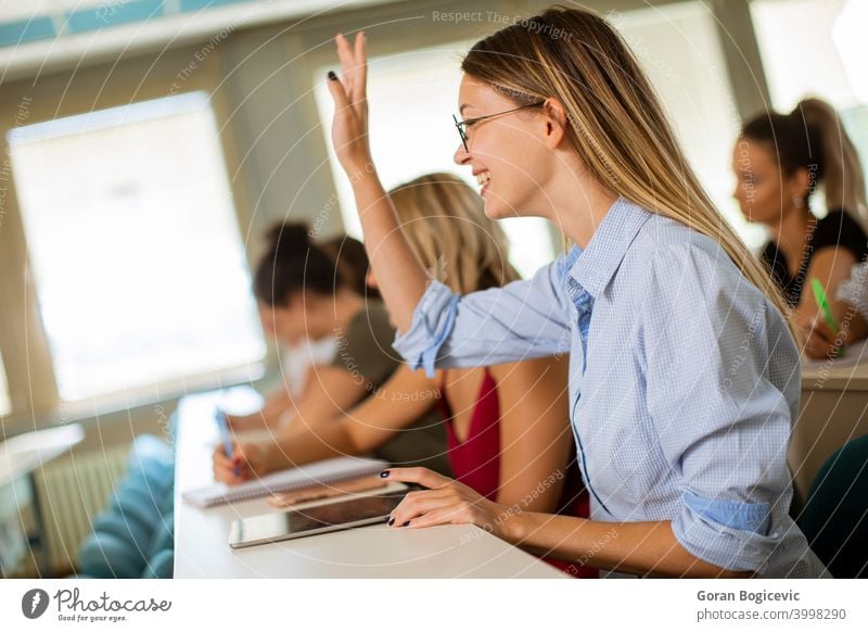 University students in the classroom academic auditorium beautiful caucasian classmate desk education educational female group indoor indoors knowledge learning