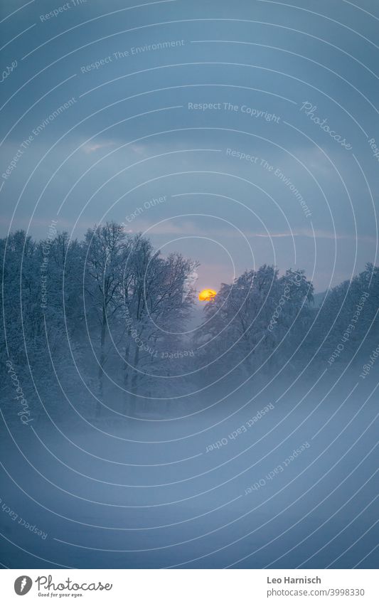 Orange sun ball in foggy snow landscape Fog Snow Sun Sunset Sun Ball Winter January Nature Cold Tree Landscape Ice Frost Hoar frost Forest Exterior shot