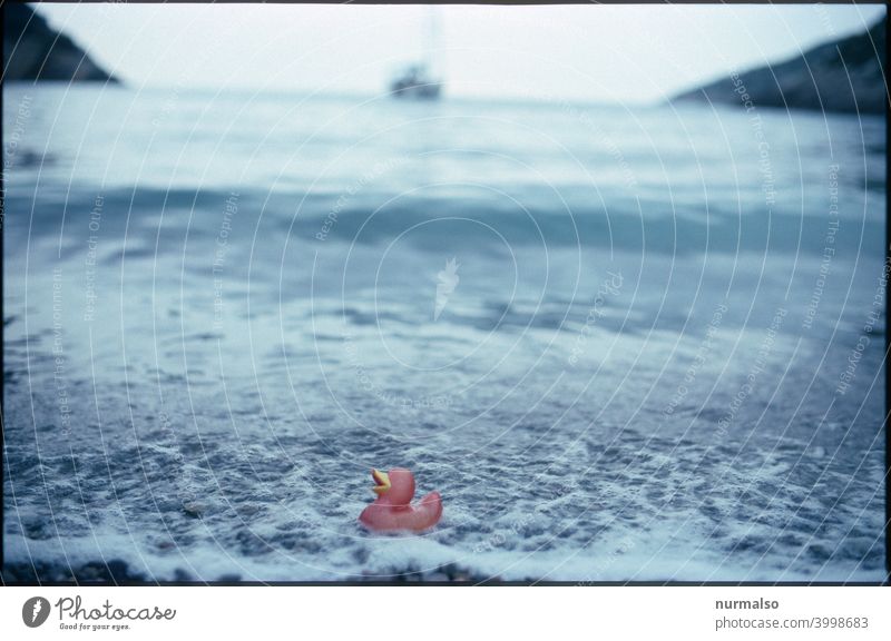 Alone Duck Ocean current Greece Bay Sailing Nature Trash Environmental pollution Waves Saltwater Beach vacation Freedom dream Analog blurriness White crest