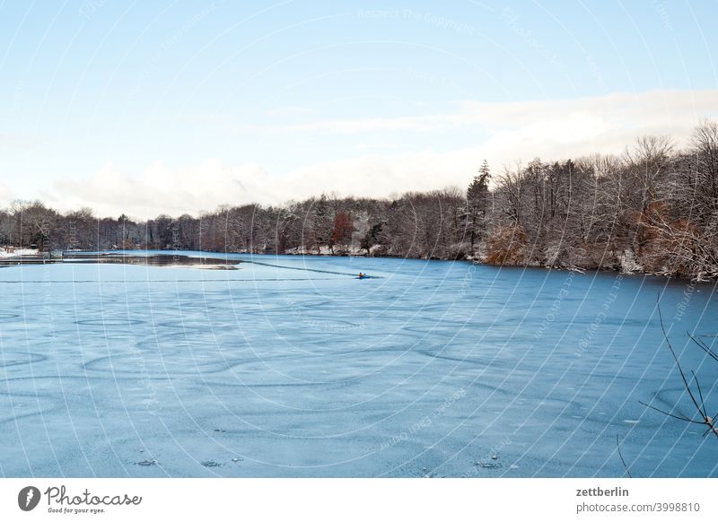 Plötzensee in winter Vantage point Empty reinickendiórf Berlin sudden lake winter holidays Frost Ice Sheet frozen Lake Twig Winter Depth of field Copy Space