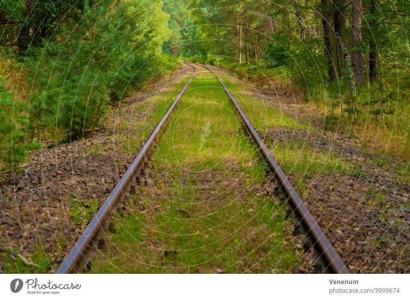 Old railway tracks that are no longer used in Germany,Trees next to the railway tracks,Wildgrass on the track bed Track rails railroad iron rust