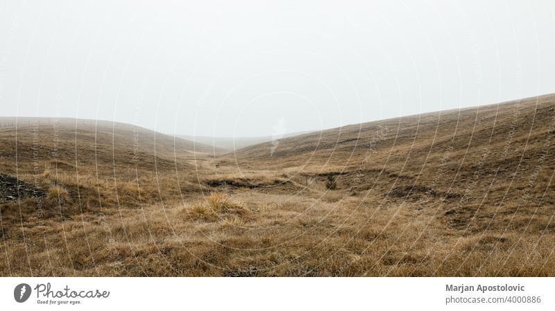 View of the misty meadow in the winter morning autumn background beautiful cloudy cold countryside dawn early environment europe fall farmland field fog foggy