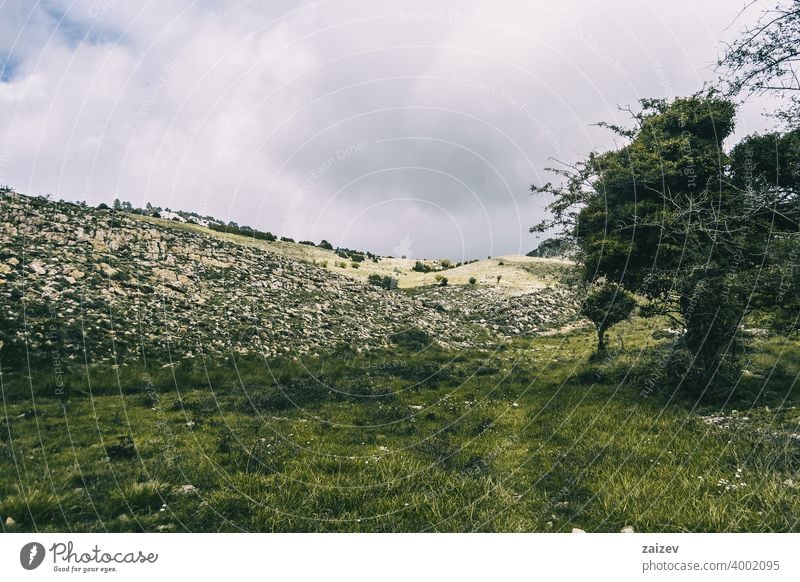 cloudy day in the mountains of the natural park of the ports, in tarragona (spain). eroded layered canyon nature outdoors travel destinations descent moment