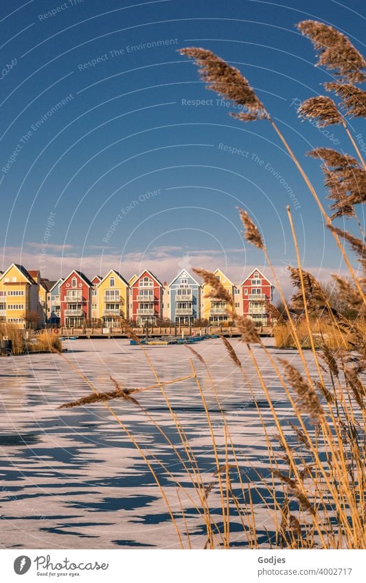 Swedish houses / coloured wooden houses on a partly frozen river framed by reeds Panorama (View) Sunset Sunrise Evening Serene Skerry Colour photo Exterior shot