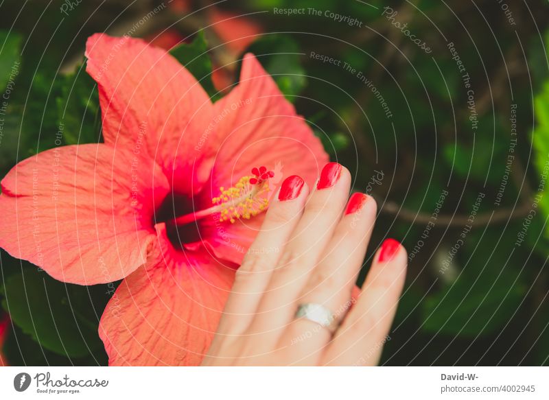 Tone on tone - colourful tone-in-tone variegated Red Art Artistic Work of art Exotic Flower Blossom Nail polish