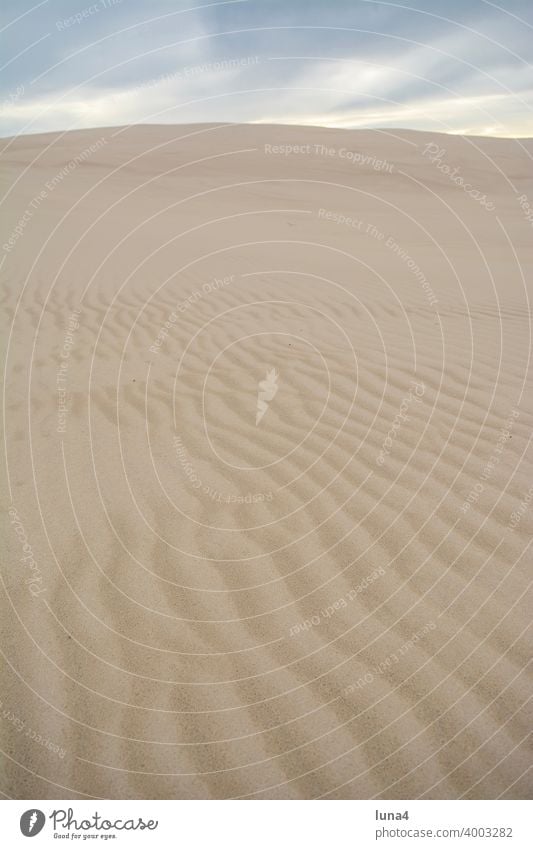 Shifting sand dune in Leba duene shifting dune leba Poland Sand Desert sandy Sky cloudy Dramatic background Abstract Surface Pattern texture Tourism travel