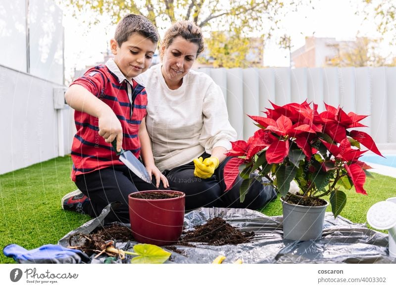 Mother and son in garden planting  flowers beautiful bloom botany boy care caucasian cheerful child childhood cultivation daughter ecology explaining family