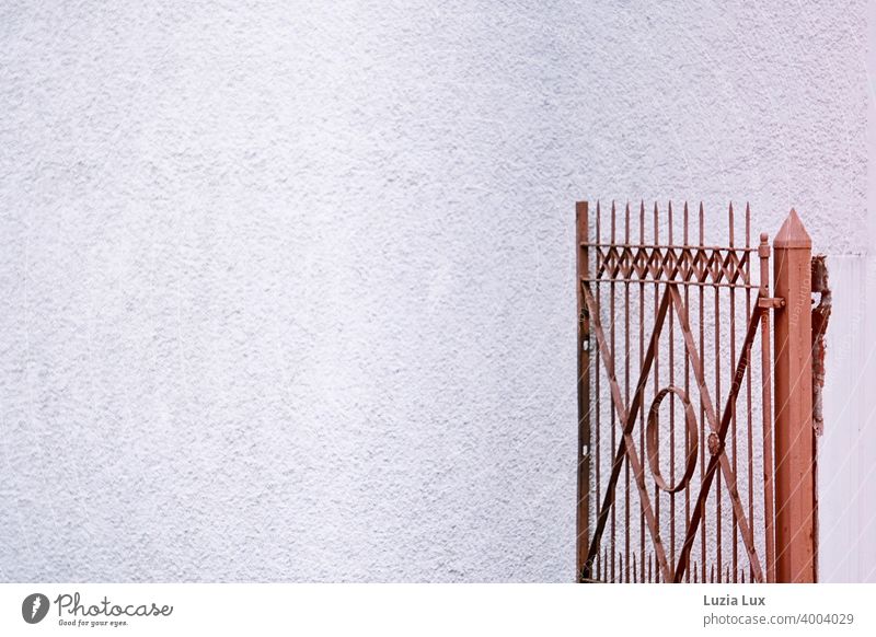 Courtyard gate with patina, in autumn light Goal Wrought iron Brown White Old Colour photo Deserted Exterior shot door Rust Day Metal Structures and shapes Iron