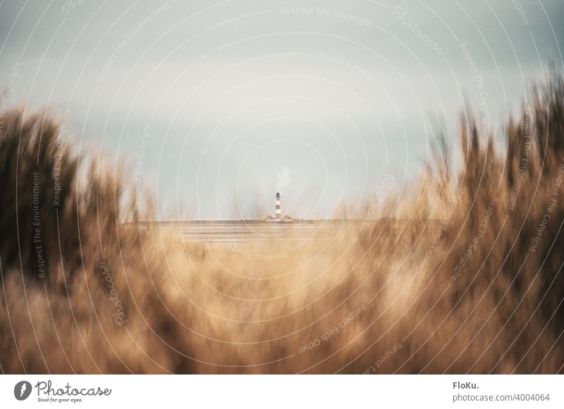 Lighthouse Westerhever seen from Sankt Peter-Ording Beach Saint Peter Ording St. Peter-Ording North Sea coast Vacation & Travel Sand Colour photo Landscape