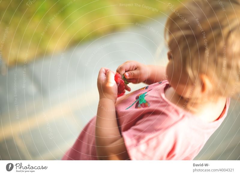 Child in summer holds a strawberry in his hands Strawberry Time Eating Healthy Eating To enjoy fruit Delicious Fresh Fruit Fruity Summer Summertime Girl